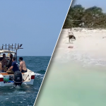 泰国救援队成功搜寻到海上失联的4名外国男子