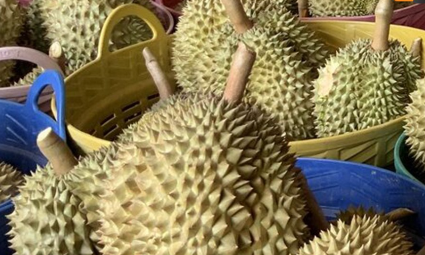 越南榴莲超越泰国，在第一季度中抢占中国市场