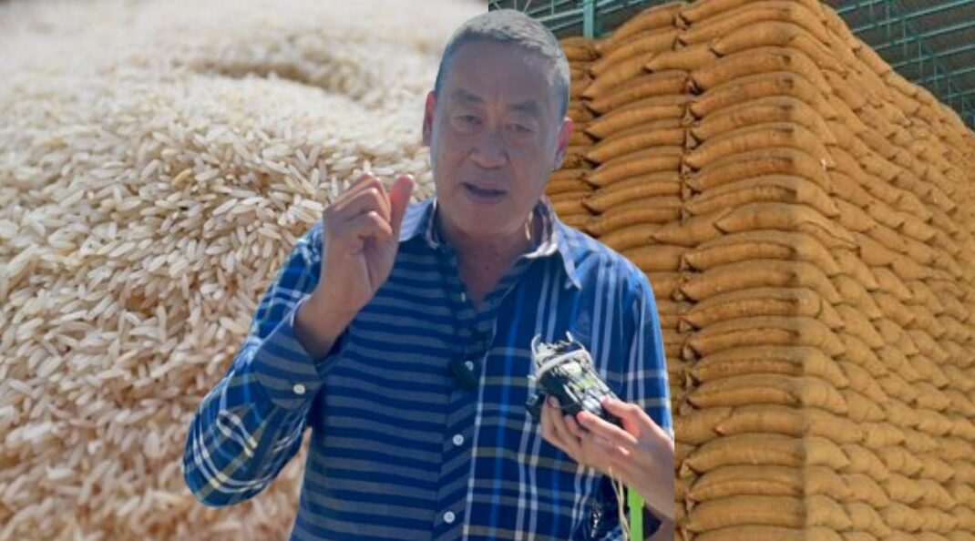 英拉大米质押项目十年陈米检测结果为安全？